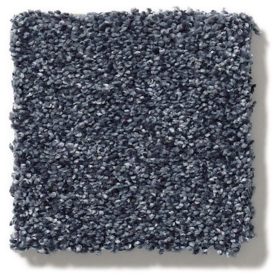 Tonal Comfort Blue Family Friendly Carpet