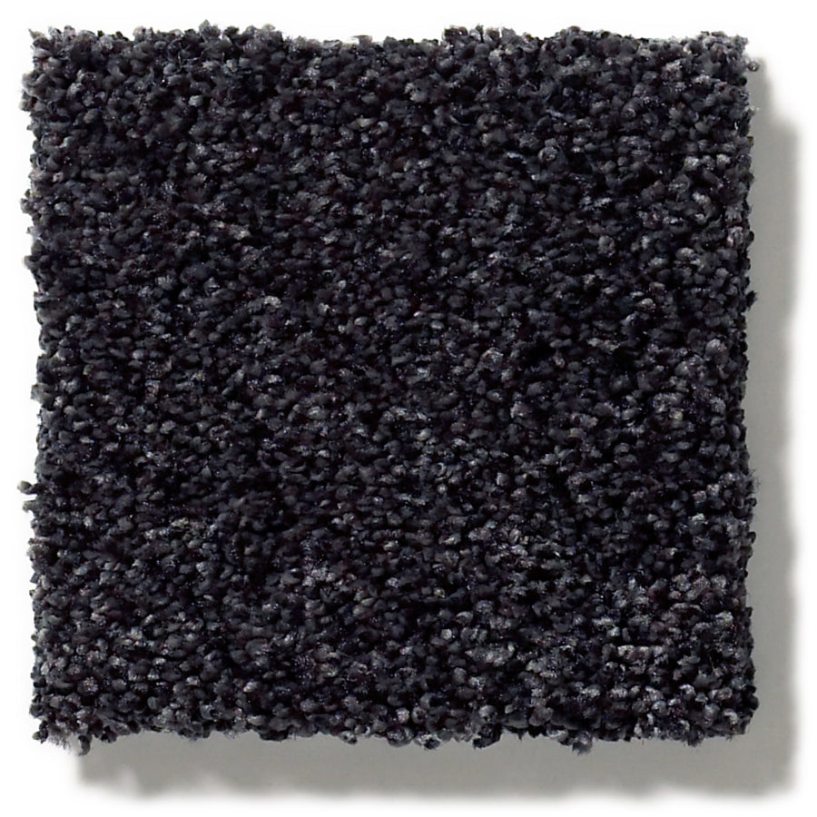 Tonal Comfort Blue Family Friendly Carpet