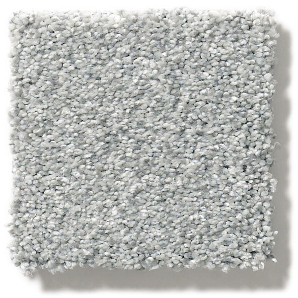 A square sample of Tonal Comfort Blue Family Friendly Carpet, featuring a soft, plush, textured surface in light gray, is displayed on a white background.