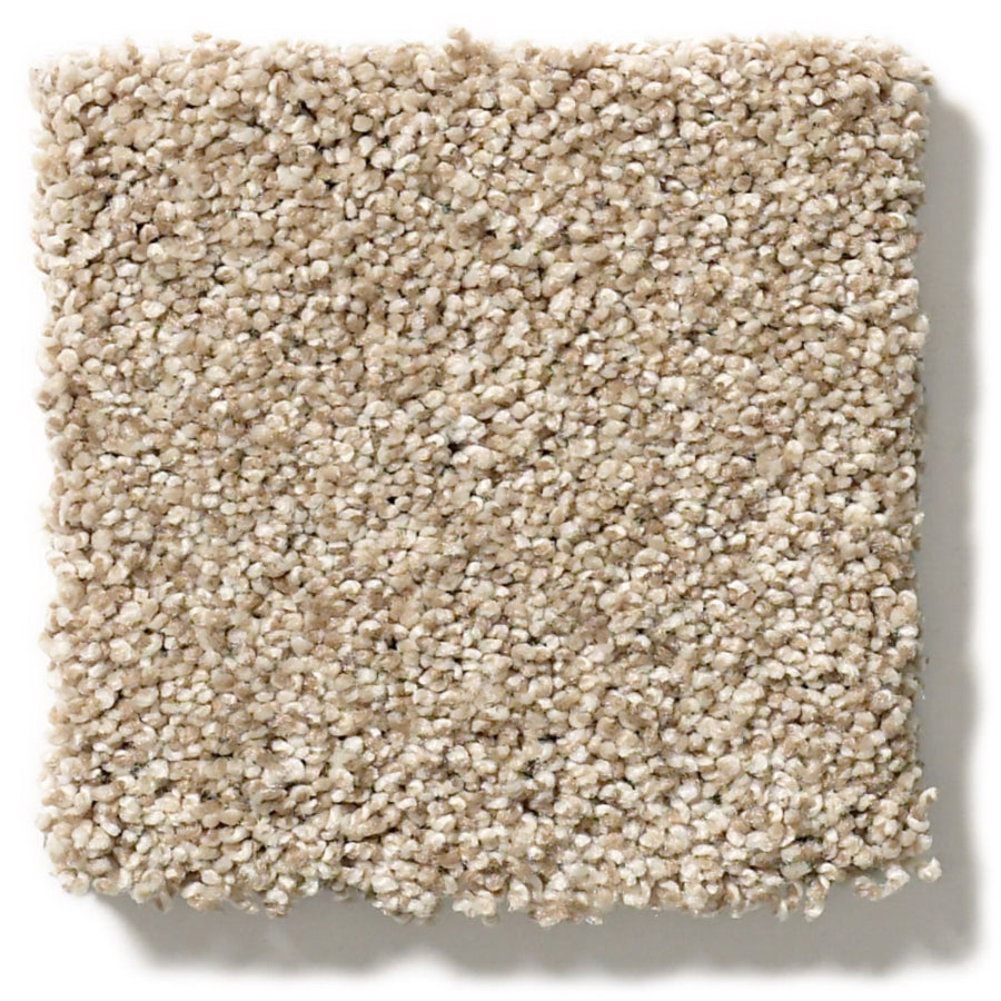 A square sample of Tonal Comfort Blue Family Friendly Carpet, featuring light beige tones and tightly packed looped fibers, is displayed against a white background.