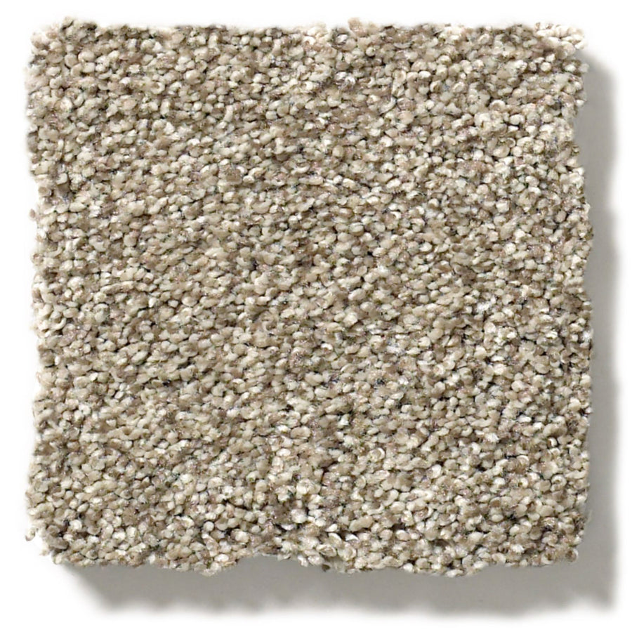 Tonal Comfort Blue Family Friendly Carpet is a durable, textured beige square swatch with tightly packed small loops in mixed light and medium neutral tones—an ideal choice for family homes.