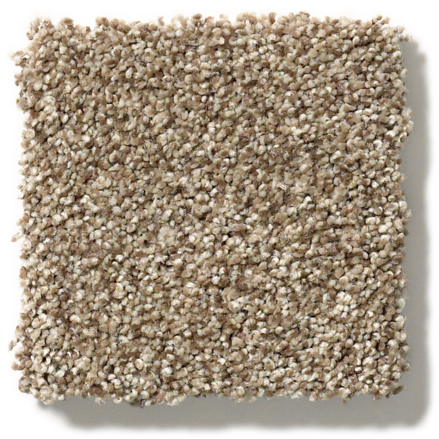 A square swatch of Tonal Comfort Blue Family Friendly Carpet with tightly packed, looped fibers. This soft, dense carpet features a neutral beige and light brown color mix and uniform pattern—ideal for any family space.