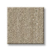 Dried Wheat