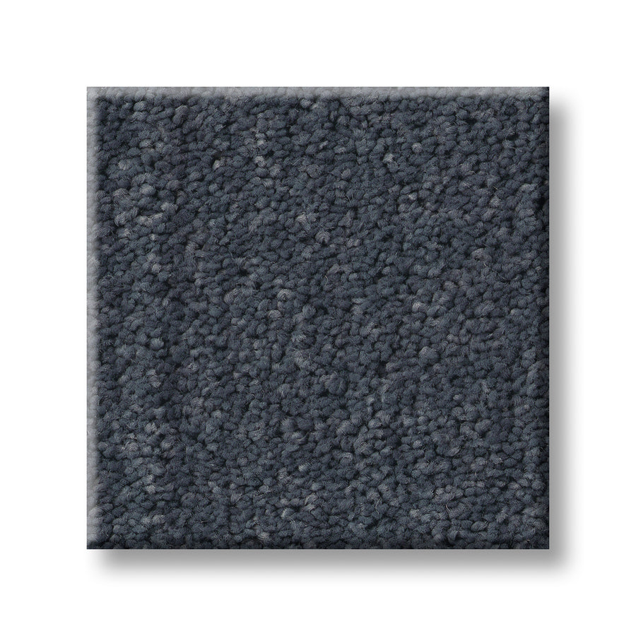 A square sample of Serene Stria Family Friendly Carpet in dark gray with a plush, textured finish is displayed against a white background.