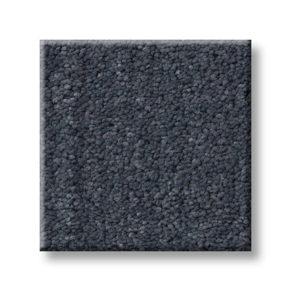 A square sample of Serene Stria Family Friendly Carpet in dark gray with a plush, textured finish is displayed against a white background.