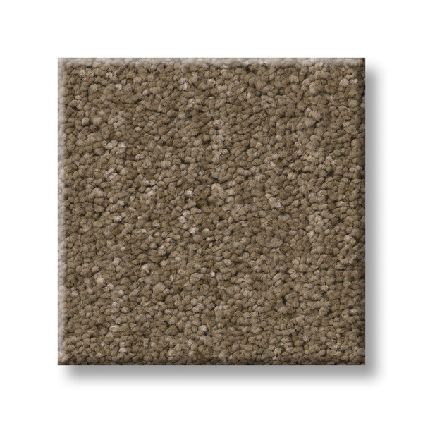 A square sample of Serene Stria Family Friendly Carpet, featuring a light brown, plush and soft textured surface, is displayed against a white background.