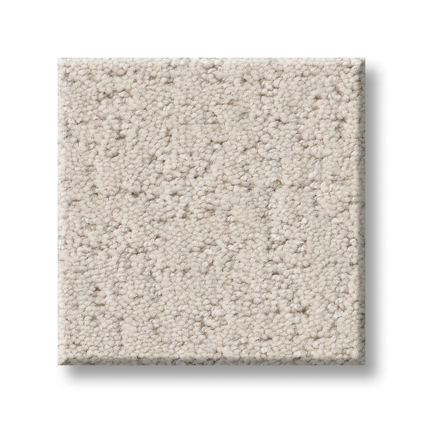 A square sample of Canvas Comfort Blue Family Friendly carpet, light beige with a plush, textured surface, is shown against a white background.