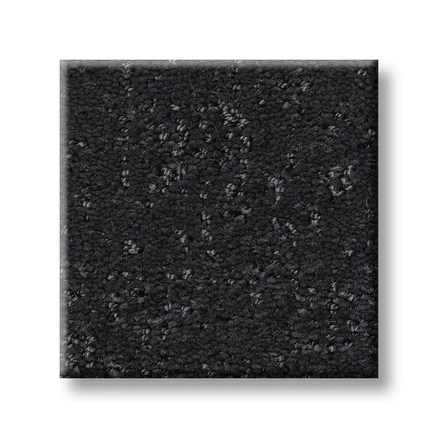 A close-up of the Canvas Comfort Blue Family Friendly carpet sample, featuring a square shape and textured looped pile in dark charcoal gray, displayed against a white background.