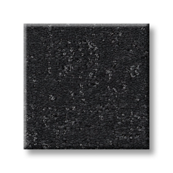 A close-up of the Canvas Comfort Blue Family Friendly carpet sample, featuring a square shape and textured looped pile in dark charcoal gray, displayed against a white background.