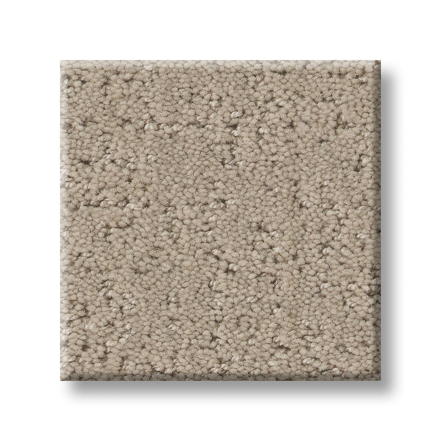 A close-up of the Canvas Comfort Blue Family Friendly carpet sample, featuring a square shape, beige color, and a soft, plush textured surface on a white background.