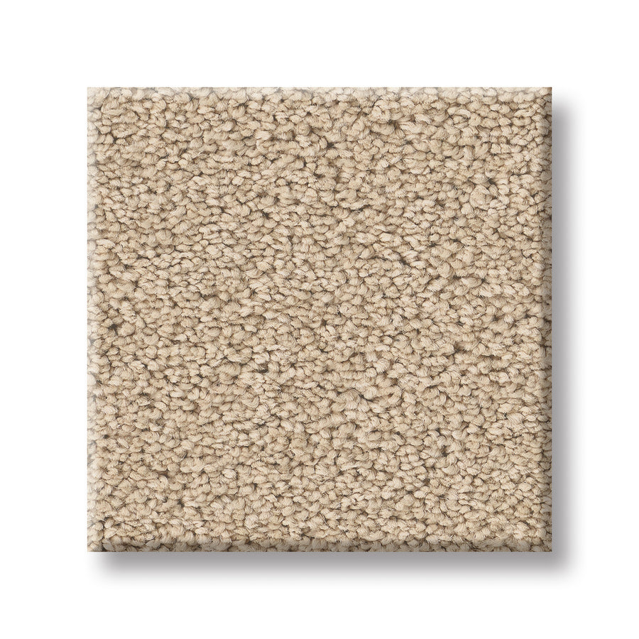 A square sample of Velvet Touch I Pet Friendly Carpet in beige, with a soft, textured looped pile, is displayed on a white background.