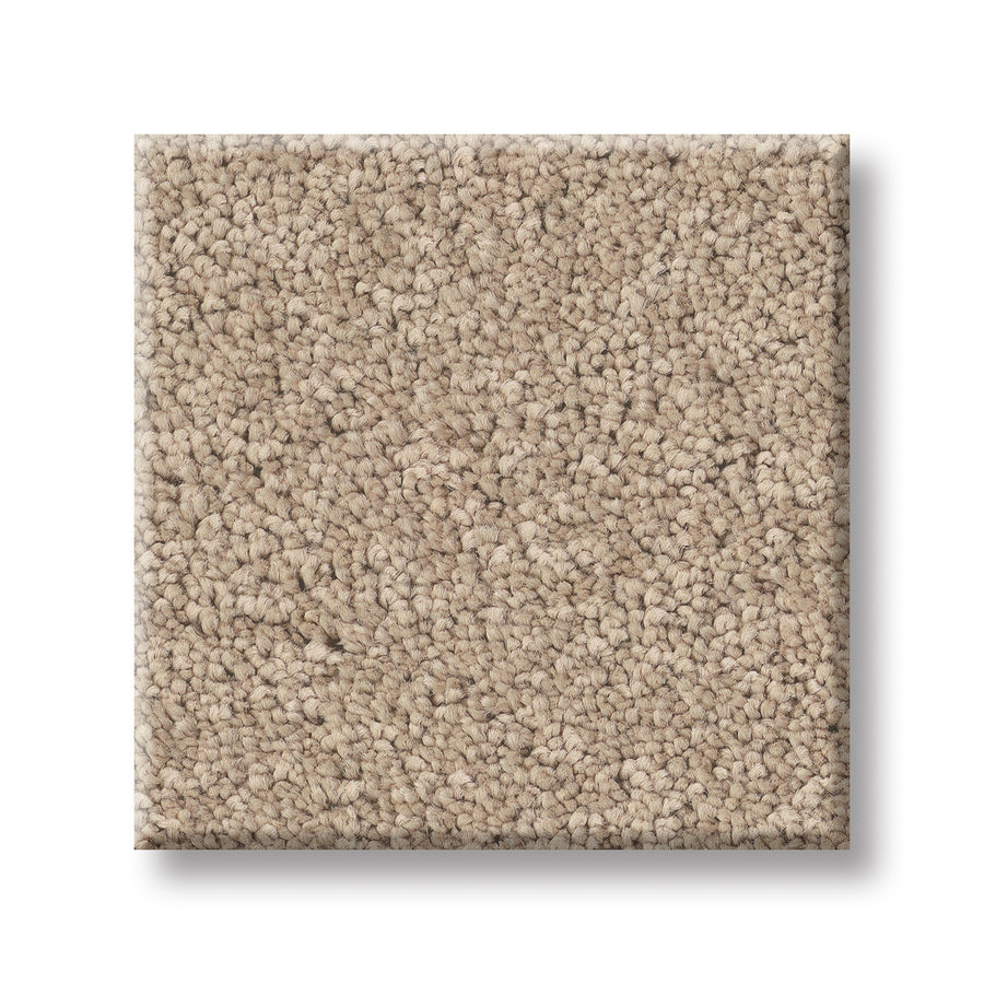 A square sample of beige Velvet Touch I Pet Friendly Carpet with tightly looped, plush texture, displayed on a white background—ideal for anyone seeking a stylish and luxury pet-friendly carpet.