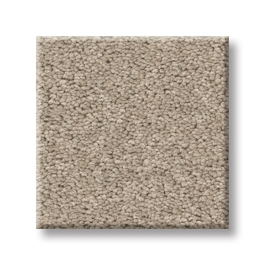 A close-up of Velvet Touch I Pet Friendly Carpet reveals its plush texture, combining the elegance of luxury carpet with pet-friendly durability.