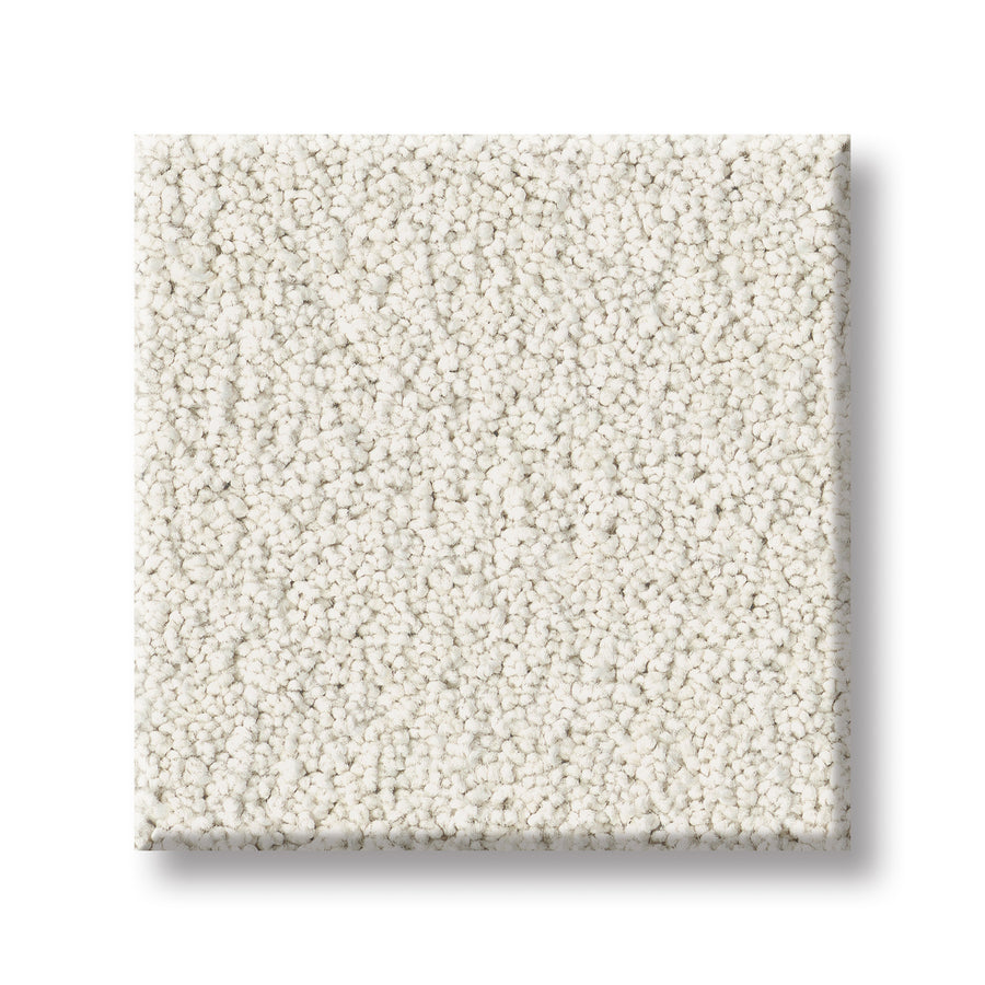 A square swatch of Velvet Touch I Pet Friendly Carpet in white, with small, tightly packed loops for a soft yet durable feel—ideal as a luxury carpet option, shown on a white background.