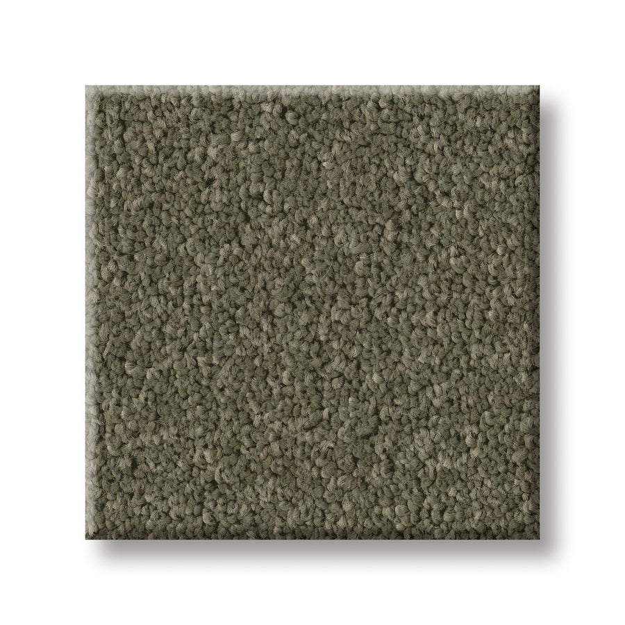 A square sample of Velvet Touch I Pet Friendly Carpet in muted olive green, with a textured medium-pile surface, is shown on a white background.