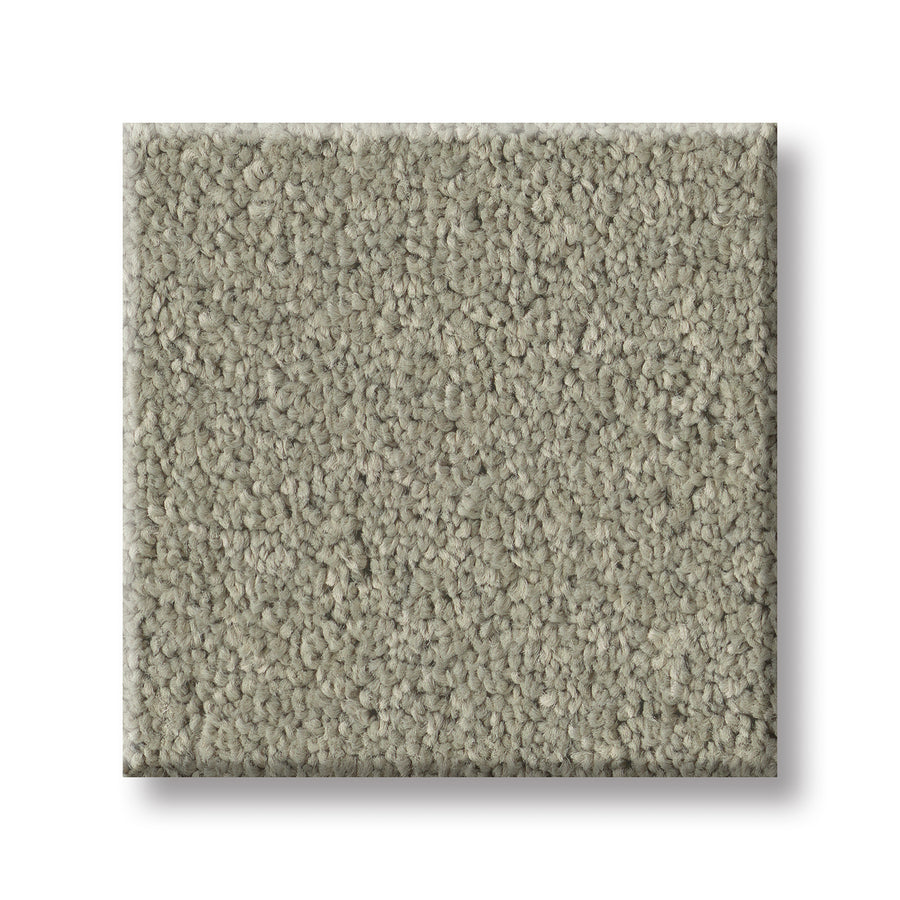 A rectangular swatch of Velvet Touch I Pet Friendly Carpet in light gray, featuring dense, looped texture and shown on a white background—an elegant, pet friendly choice ideal for modern homes.