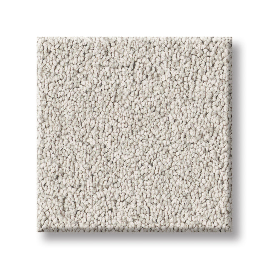 Rectangular swatch of light gray Velvet Touch I Pet Friendly Carpet features tightly packed, short looped fibers on a white background—an ideal luxury option for pet owners seeking stylish, textured comfort.