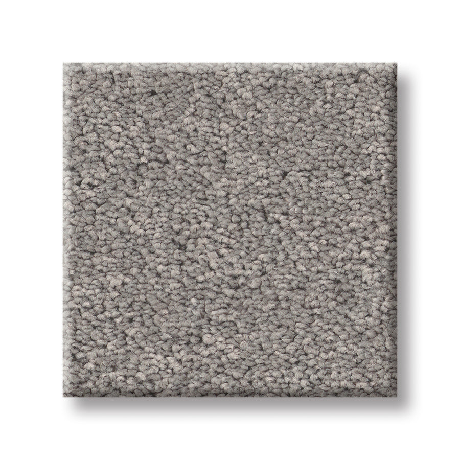 A square sample of Velvet Touch I Pet Friendly Carpet in light gray, featuring a soft looped pile, is shown on a white background, combining luxury comfort with pet-friendly durability.