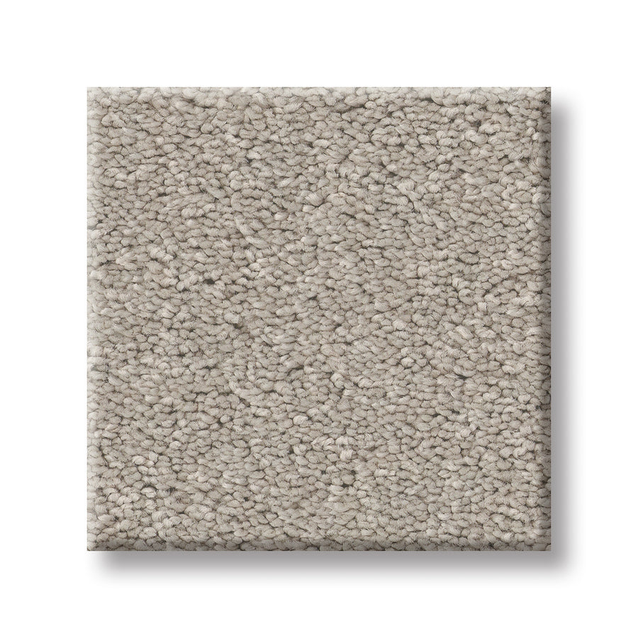 A square sample of light beige Velvet Touch I Pet Friendly Carpet with a soft, textured looped pile is shown on a white background—perfect for pet owners.