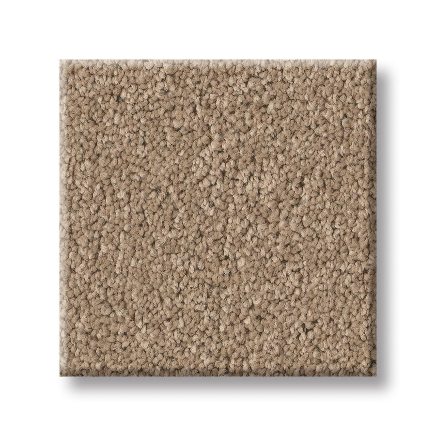 A rectangular swatch of Velvet Touch I Pet Friendly Carpet in beige, with a dense looped pile and textured, pet-friendly surface, is displayed on a white background.