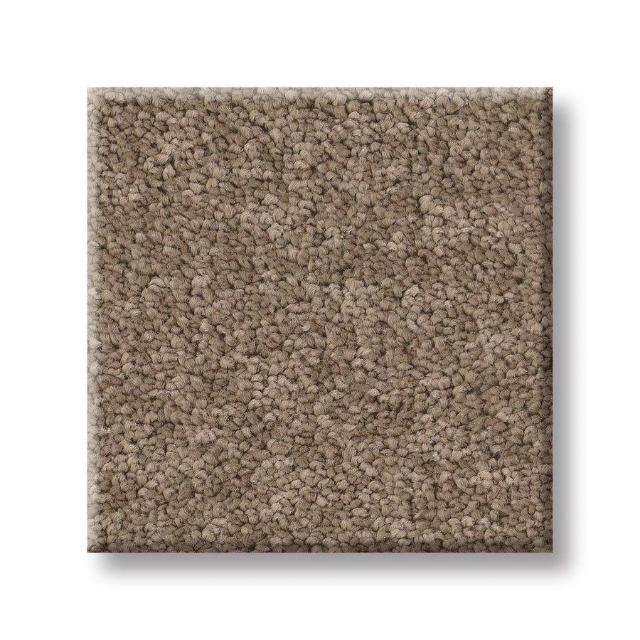 A square sample of Velvet Touch I Pet Friendly Carpet in light brown with a plush, looped pile is shown on a white background—luxurious, textured, and perfect for homes with pets.