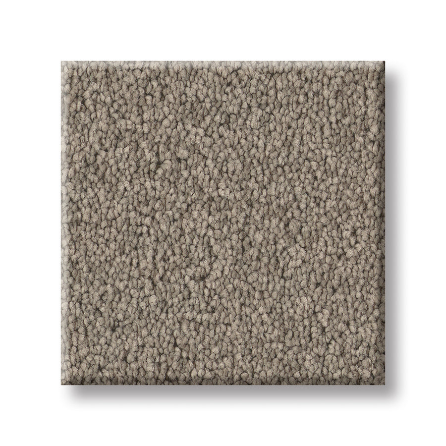 A rectangular sample of Velvet Touch I Pet Friendly Carpet in light brown, featuring a dense, looped pile and a textured look, displayed against a white background.