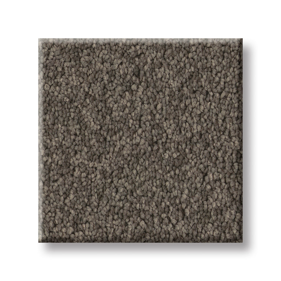 A square sample of Velvet Touch I Pet Friendly Carpet in solid dark gray with medium pile is displayed on a white background—ideal for those seeking subtle texture, elegance, and pet-friendly durability.