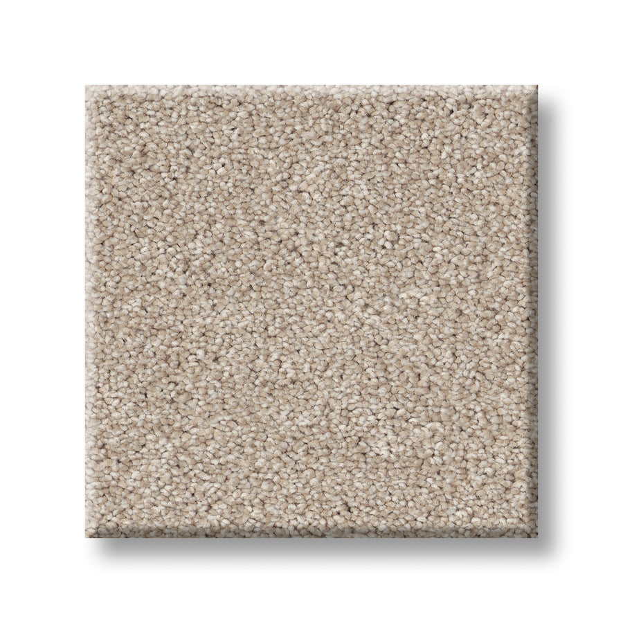 A square sample of Vivid Touch I Pet Friendly Carpet in light beige, featuring a soft, plush texture. Displayed on a white background, this elegant and comfortable carpet is ideal for any pet-friendly living space.