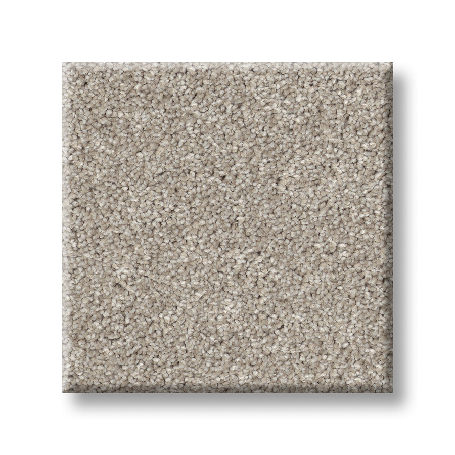A square sample of Vivid Touch I Pet Friendly Carpet in light beige, featuring a soft, plush texture and durable finish, displayed against a white background.