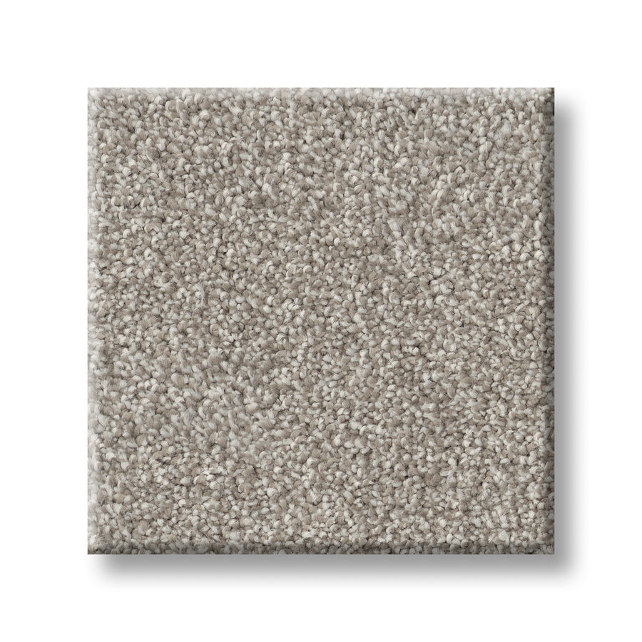 A square sample of Vivid Touch I Pet Friendly Carpet in light gray showcases its soft, plush, textured surface—durable and ideal for adding pet-friendly comfort to any room.