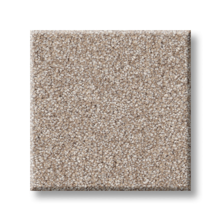 A square sample of Vivid Touch I Pet Friendly Carpet in light beige, featuring a plush, soft, textured surface, displayed against a white background.