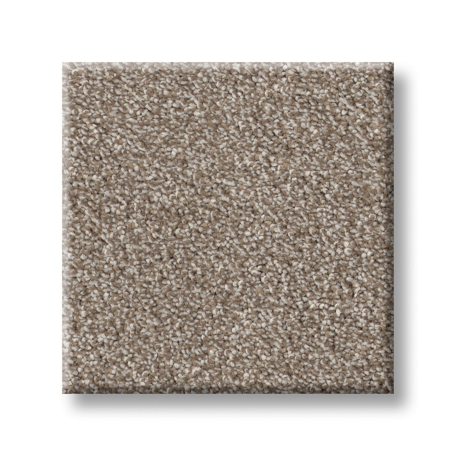 Vivid Touch I Pet Friendly Carpet: a square sample of light brown, textured carpet with a soft, looped pile. Durable and pet-friendly luxury, ideal for any home—shown against a white background.