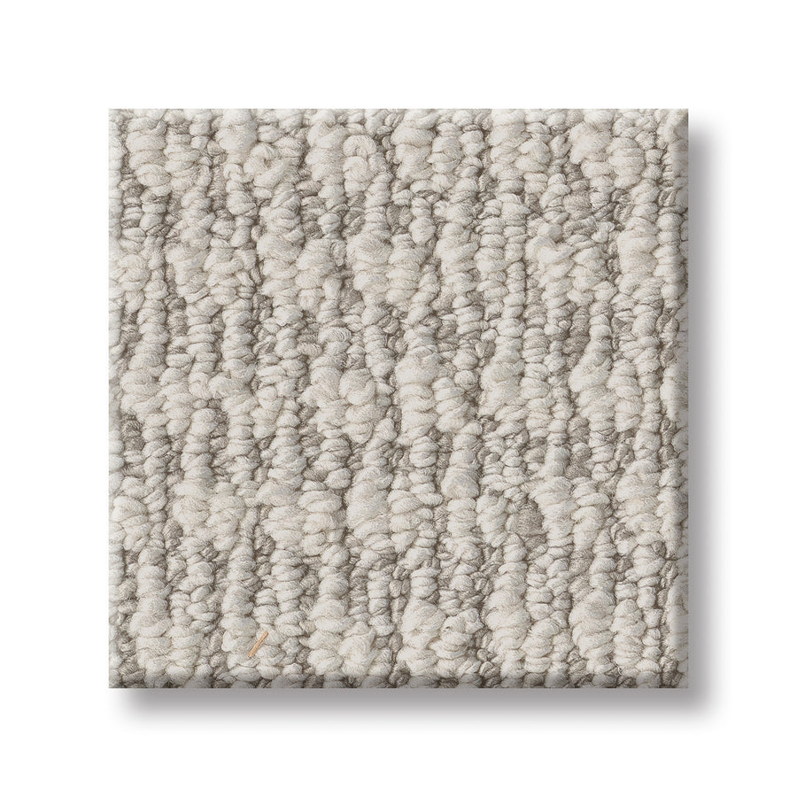 A close-up of Cozy Embrace Pet Friendly Carpet highlighting its soft texture and inviting comfort for both pets and owners.