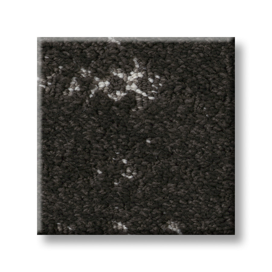 A square sample of Evoke On Trend Carpet is shown in dark grey with a looped pile and light grey flecks, offering a luxurious look against a white background.