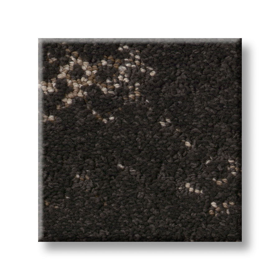 A close-up square sample of Evoke On Trend Carpet shows its dark gray, looped texture and subtle beige and white flecks, offering a luxurious flooring option.