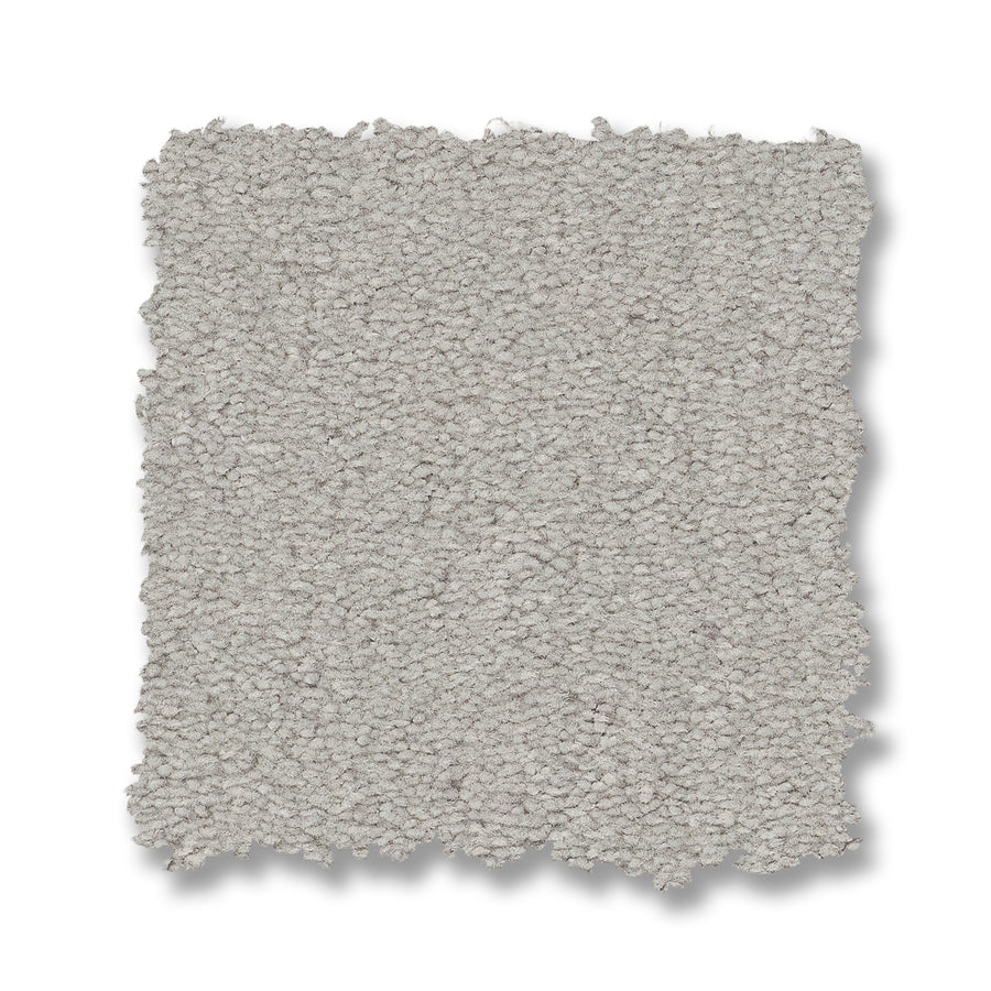 A close-up of the Finery Pet Friendly Carpet, highlighting its soft texture and elegant design.