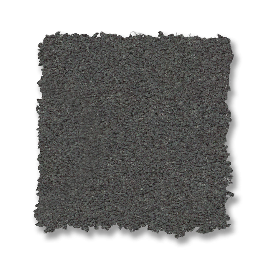 A square swatch of Finery Pet Friendly Carpet with a dark, textured surface and jagged edges is displayed on a white background, showcasing its dense and durable appearance.
