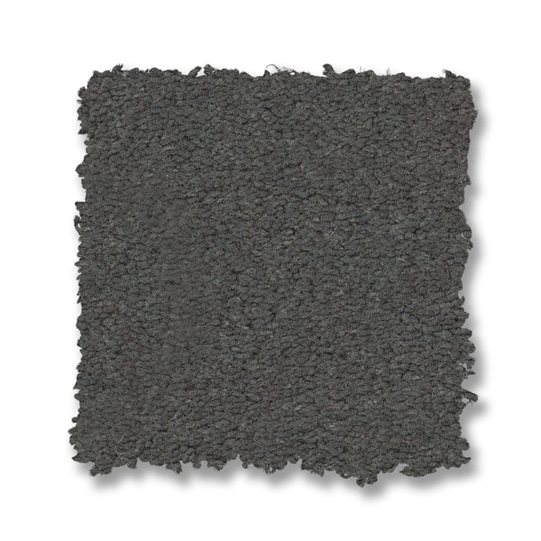 A square swatch of Finery Pet Friendly Carpet with a dark, textured surface and jagged edges is displayed on a white background, showcasing its dense and durable appearance.