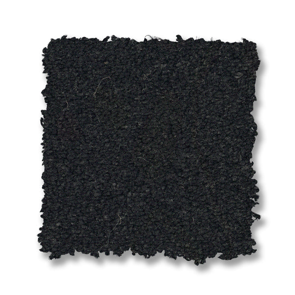 A square swatch of Finery Pet Friendly Carpet in dark black with a textured surface and slightly uneven edges, shown on a white background.