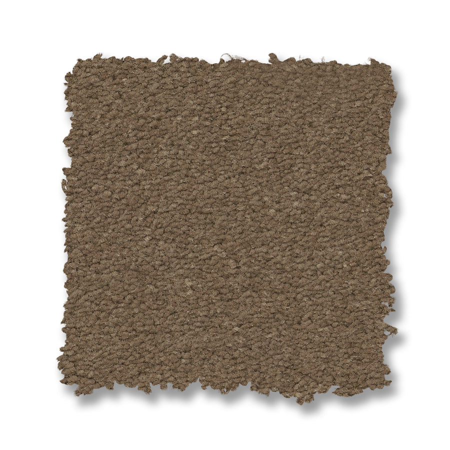 A square swatch of Finery Pet Friendly Carpet in brown, featuring a textured, durable surface with slightly frayed edges, shown on a white background.