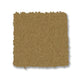 Gold Coin