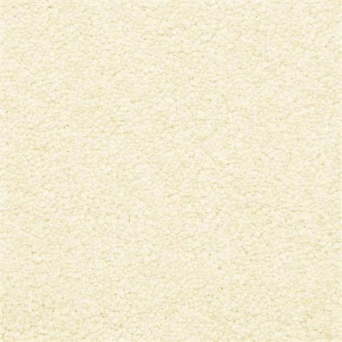 Close-up of Morgan Bay Family Friendly Carpet in Macadamia—a soft, cream-colored surface with plush, raised fibers. Cozy and comfortable, it's perfect for homes with kids or pets.