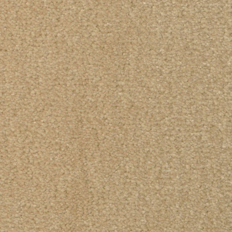 Close-up of Seduction On Trend Carpet in Macadamia, featuring a soft, textured looped pile and uniform beige color. This durable carpet provides a neutral look, making it ideal flooring for any space.