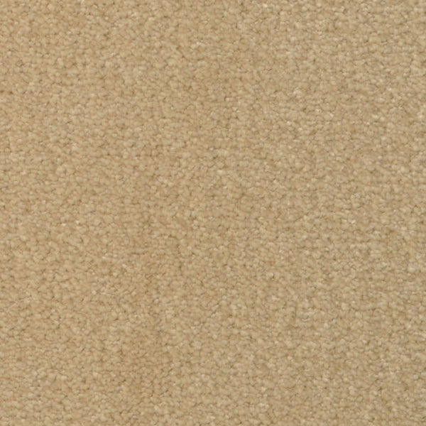 Close-up of Seduction On Trend Carpet in Macadamia, featuring a soft, textured looped pile and uniform beige color. This durable carpet provides a neutral look, making it ideal flooring for any space.