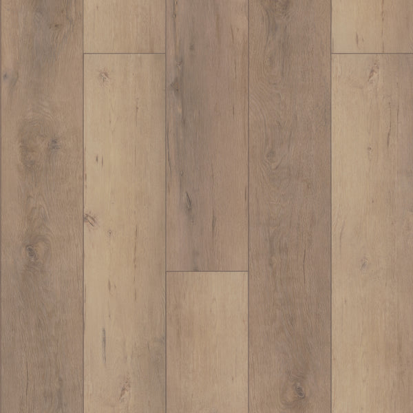 Coretec Pro Plus XL Enhanced Vinyl features wide planks in varying light and medium brown shades with visible grain and knots, offering a natural, textured look in a durable, waterproof luxury vinyl flooring.