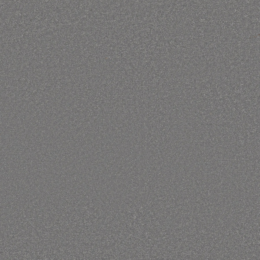 Close-up view of Awaken Spirit Pet Friendly Carpet in Magnetic color, featuring a textured gray surface with small, densely packed grains for a contemporary look and lasting durability.