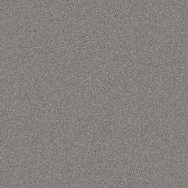 Classic Tone Pet Friendly Carpet in Magnetic features a static, grainy gray pattern with small, randomly distributed white, black, and gray dots—resembling subtle television noise for a modern, durable look ideal for pet-friendly homes.