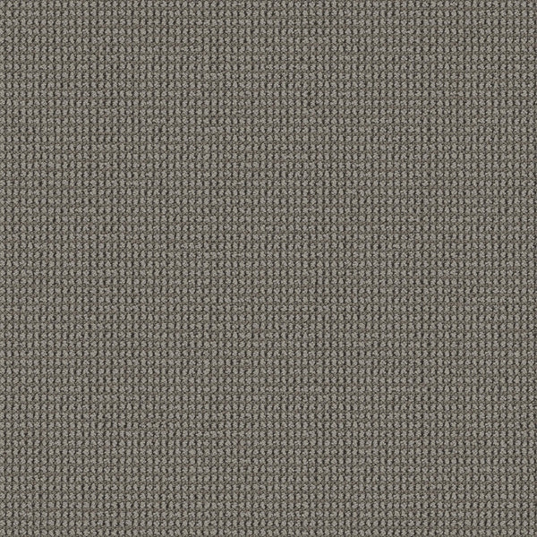 Close-up of Knitted Tone Pet Friendly Carpet in Magnetic—the tight, uniform weave creates a subtle grid-like texture. Crafted from premium, durable materials, it's soft underfoot and ideal for high-traffic areas with pets.
