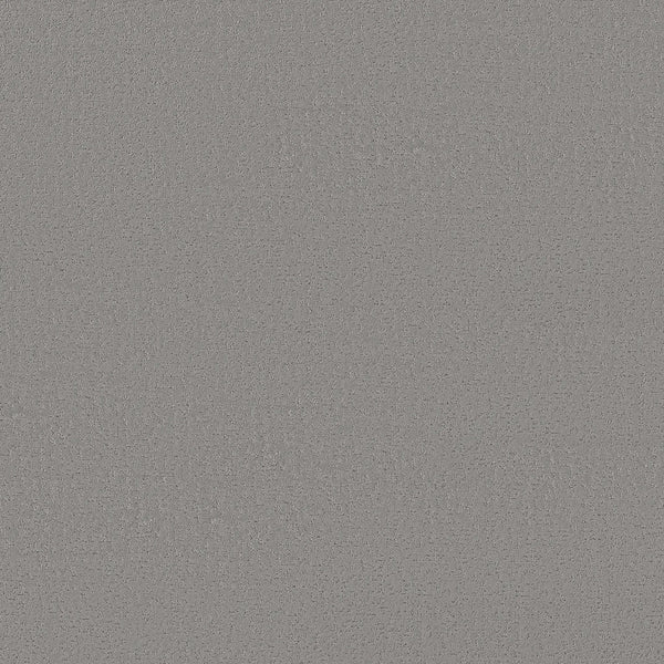 A close-up of the Crafted Tone Pet Friendly Carpet in Magnetic shows its textured gray surface with a slightly rough, speckled look, evoking durability and stain resistance.