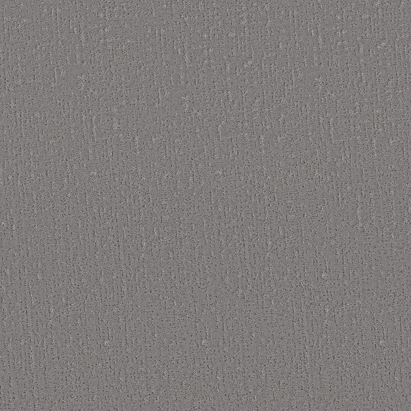 The image shows Curated Tone Pet Friendly Carpet in Magnetic—a gray, textured surface with a slightly rough, speckled pattern and subtle shading variations for a durable, uniform, and neutral look.